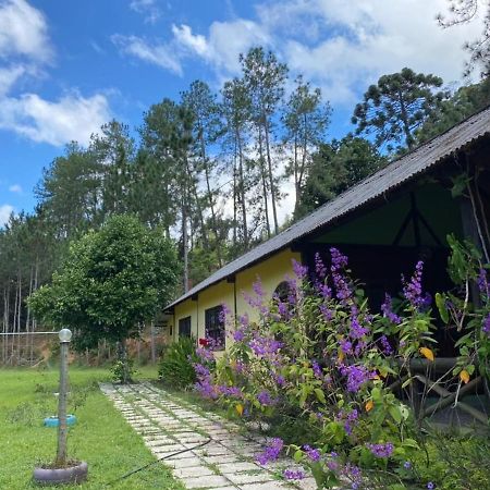Sitio Cachoeirinha - Araguaia Marechal Floriano Exteriér fotografie